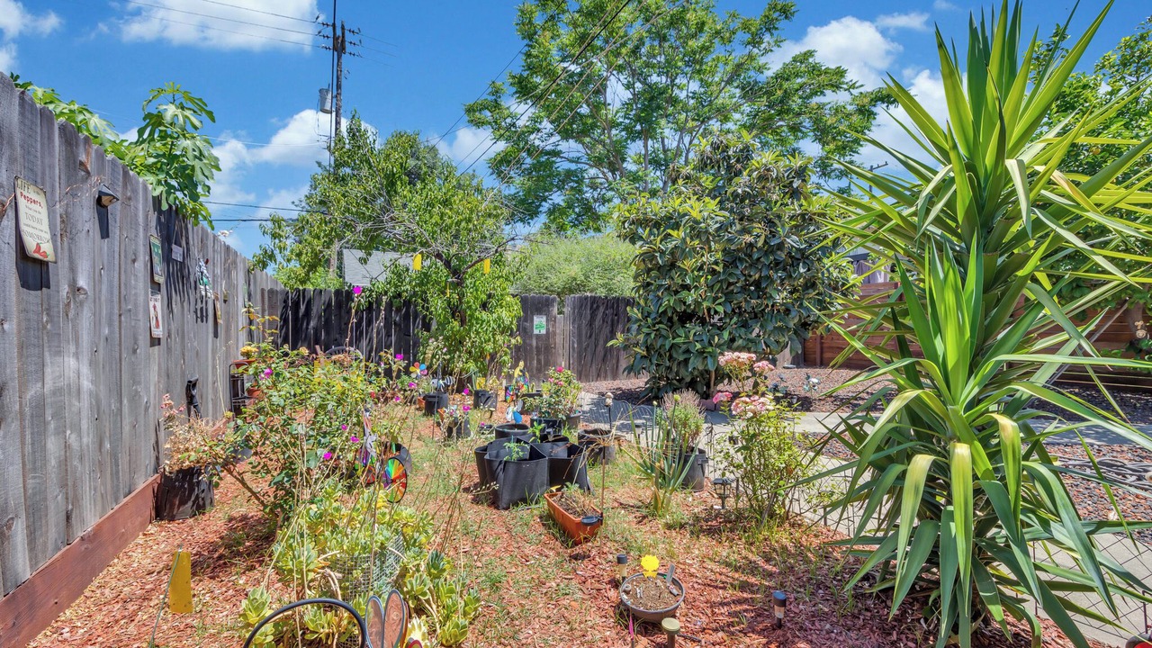 Photo of Outdoor in North Oak Park