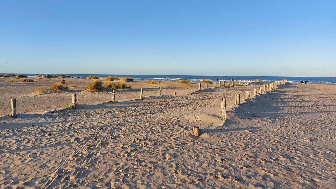 Photo of Others in Eringhem