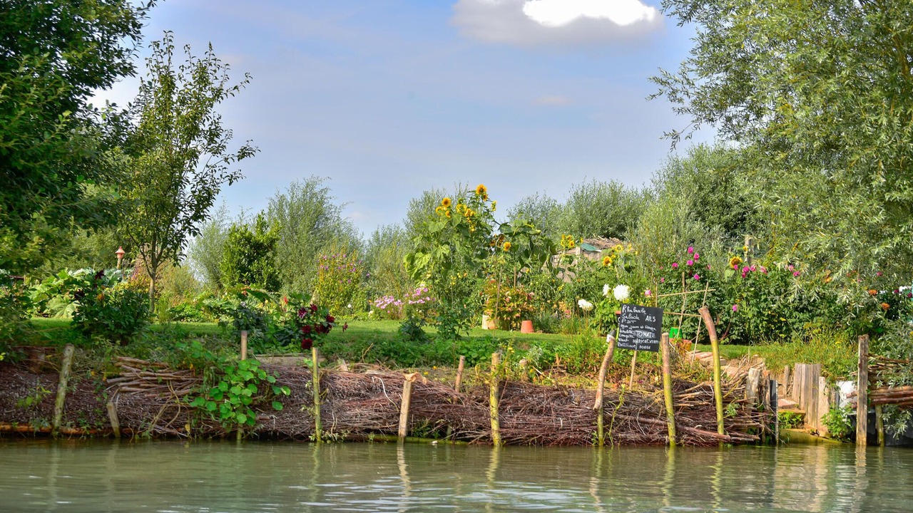 Photo of Others in Eringhem