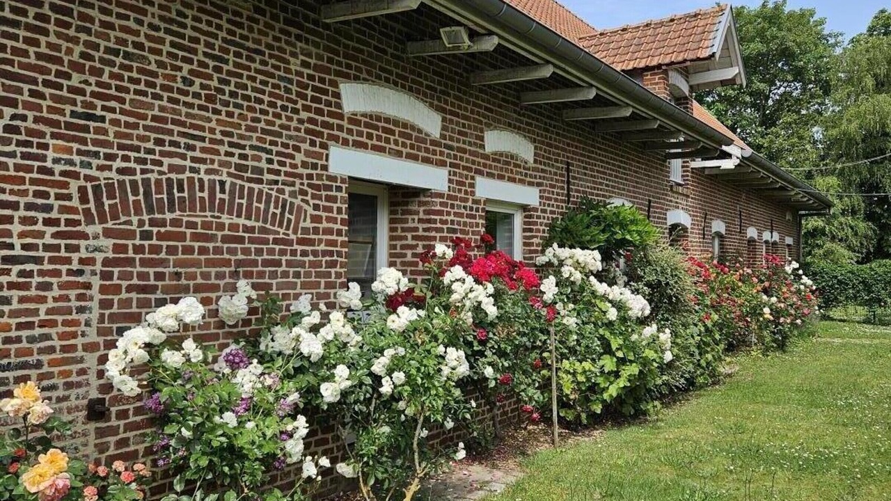 Photo of Outdoor in Capinghem