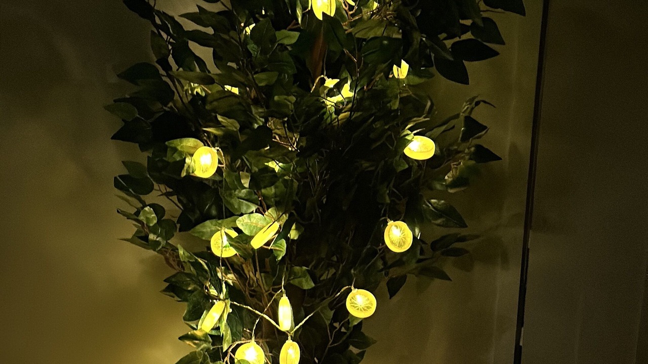 Photo of Others in Taree