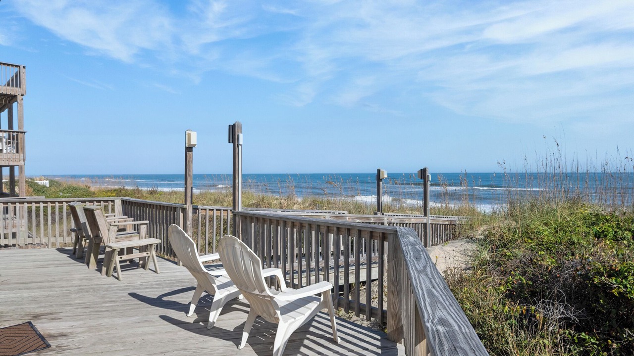 Photo of Others in Carolina Dunes