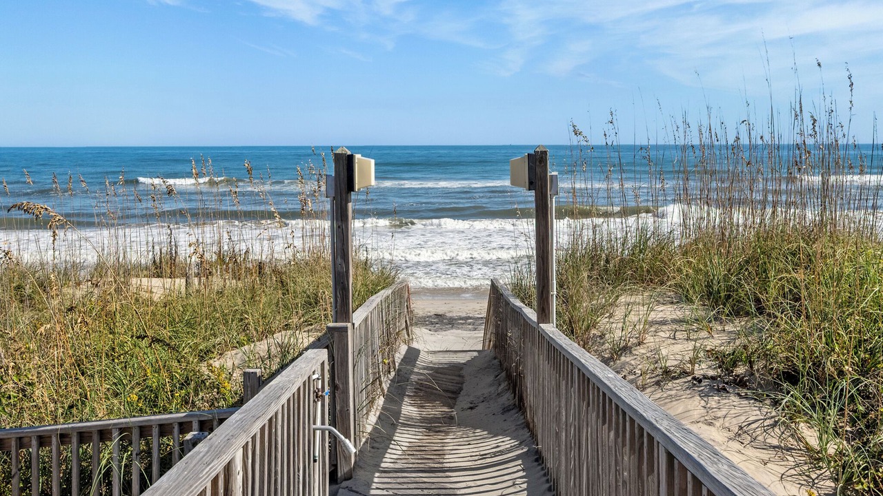 Photo of Others in Carolina Dunes