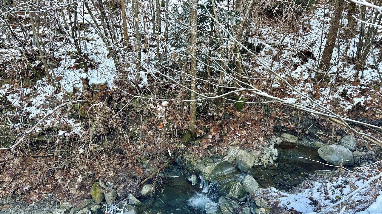 Photo of Others in Rougemont