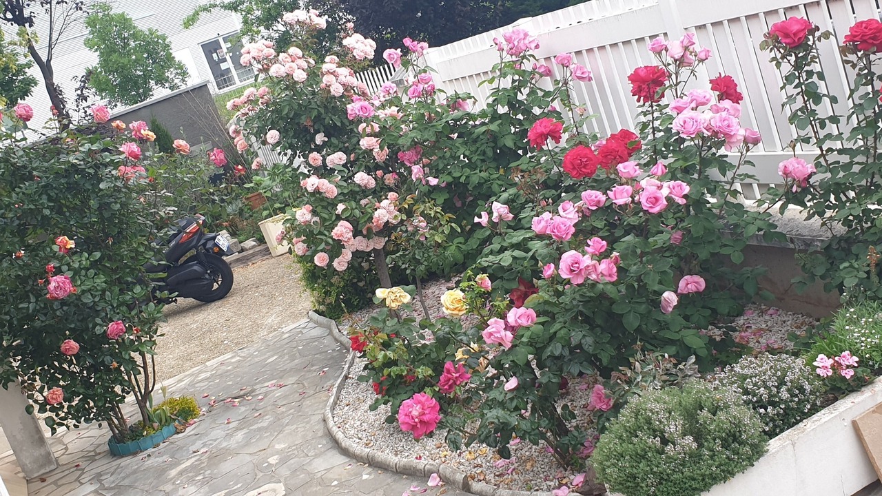 Photo of Outdoor in Champigny-sur-Marne