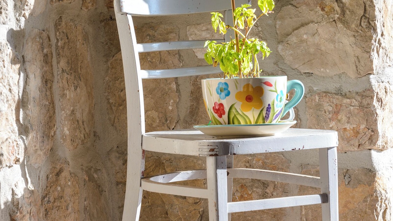 Photo of Outdoor in Konavle
