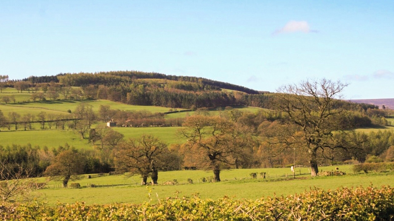 Photo of Others in Lofthouse