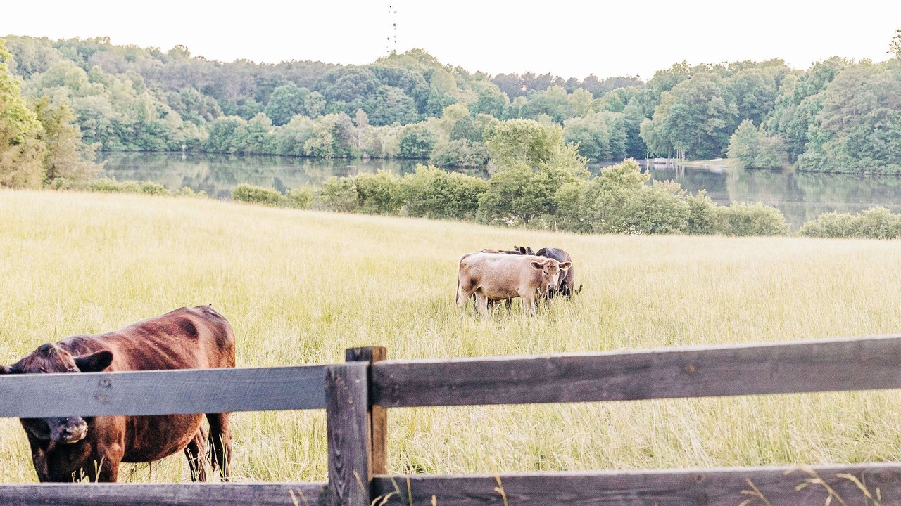 Photo of Others in Powhatan
