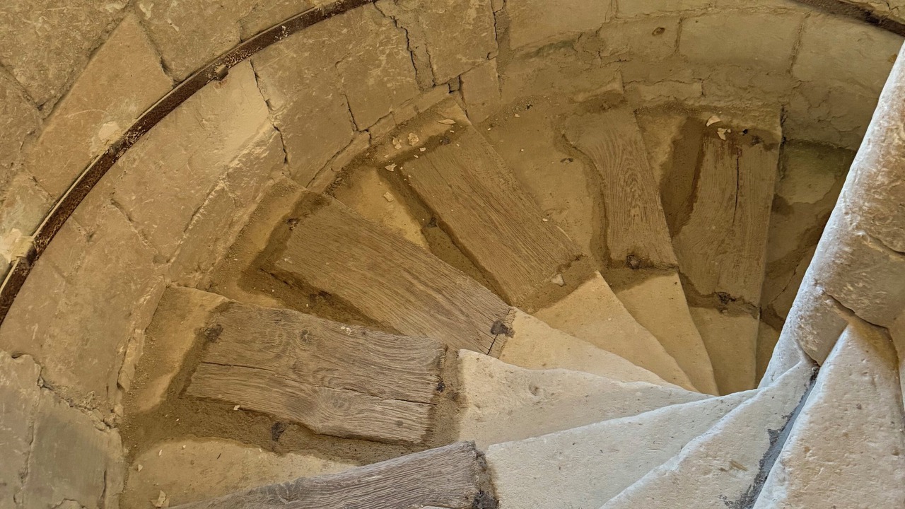 Photo of Others in Candes-Saint-Martin