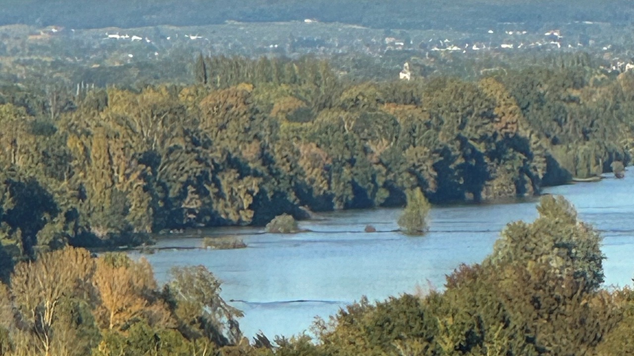 Photo of Others in Candes-Saint-Martin