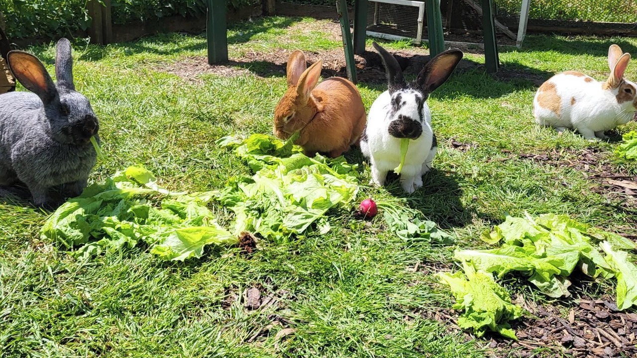 Photo of Outdoor in Trezelles