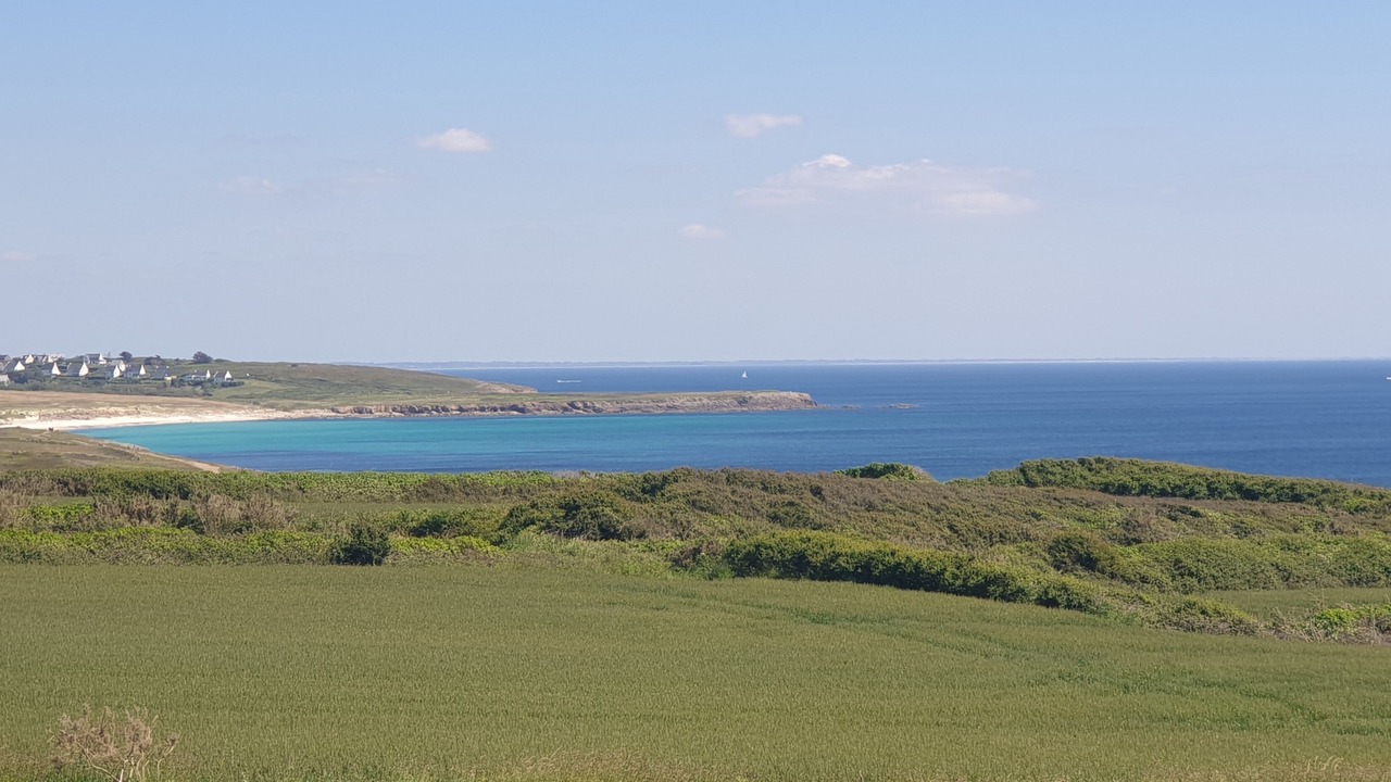 Photo of Others in Primelin