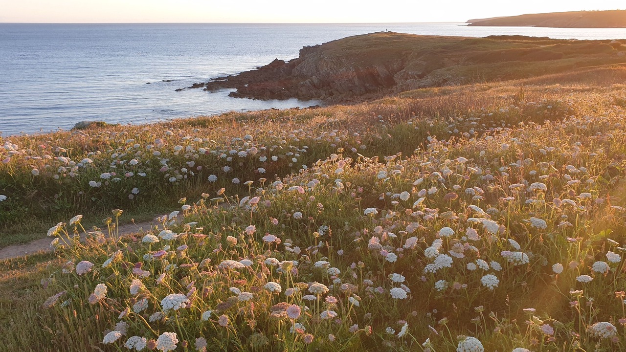 Photo of Others in Primelin