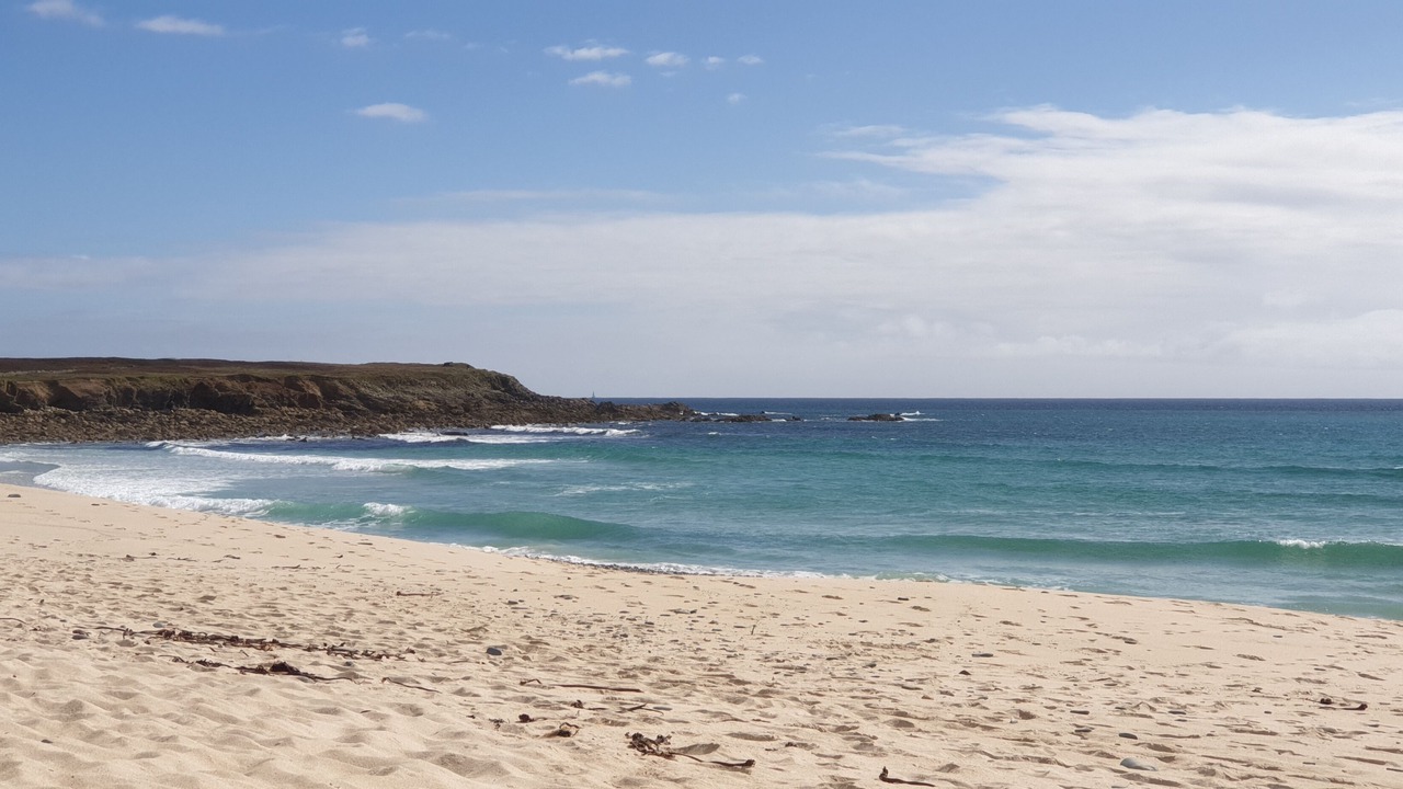 Photo of Others in Primelin