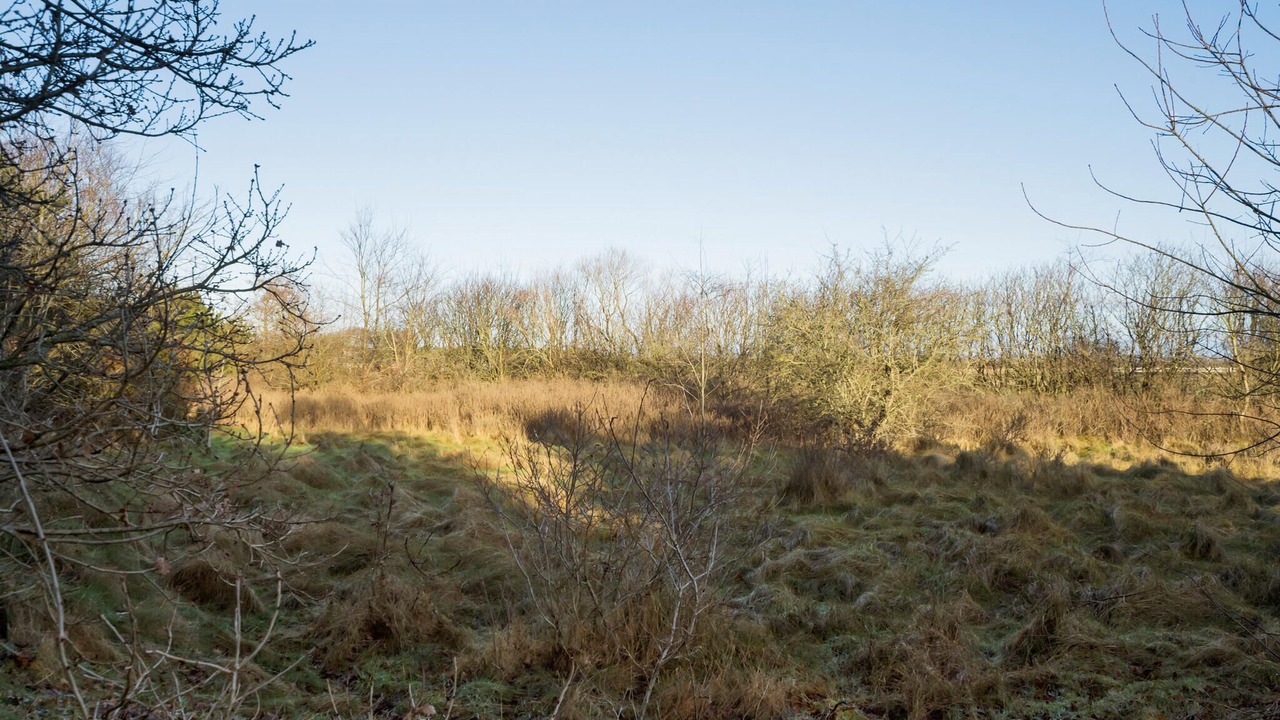Photo of Others in Houstrup