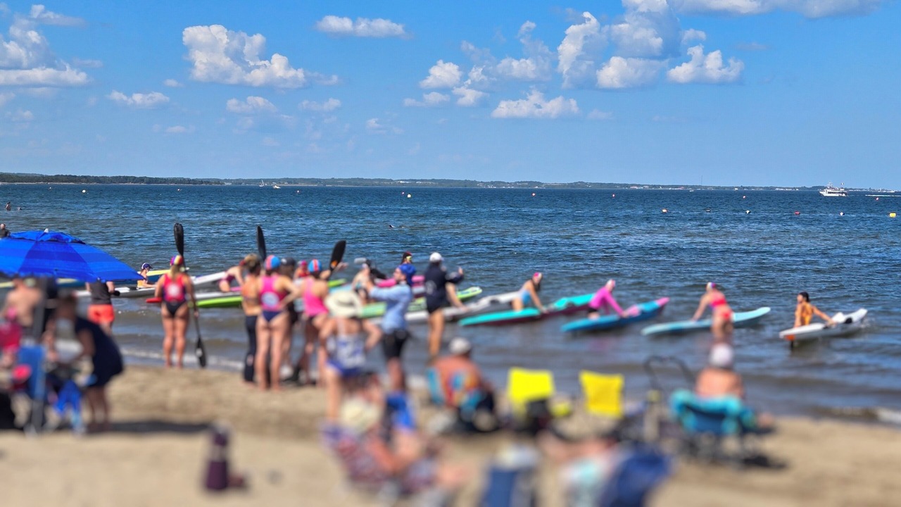 Photo of Others in The Bluff
