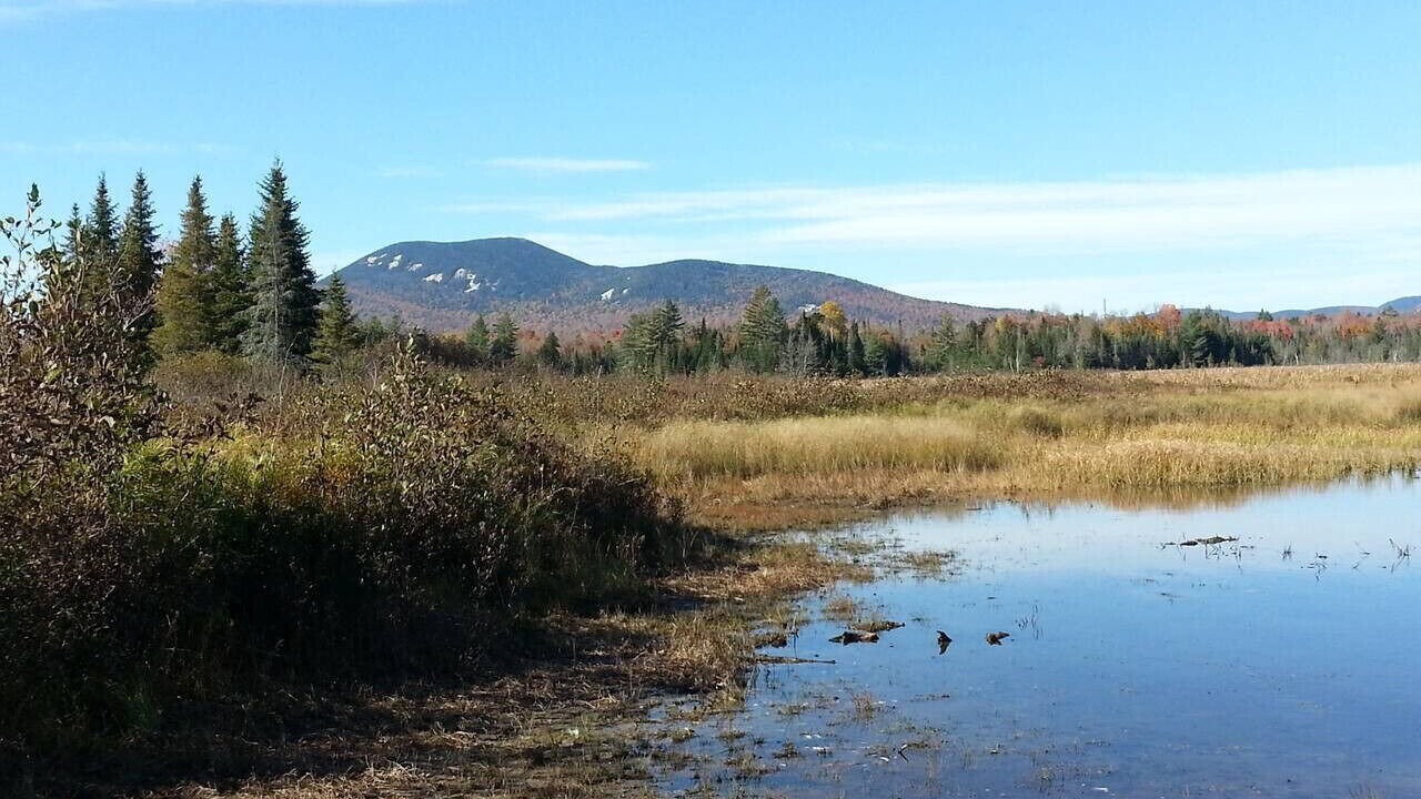 Photo of Others in Blue Mountain Lake