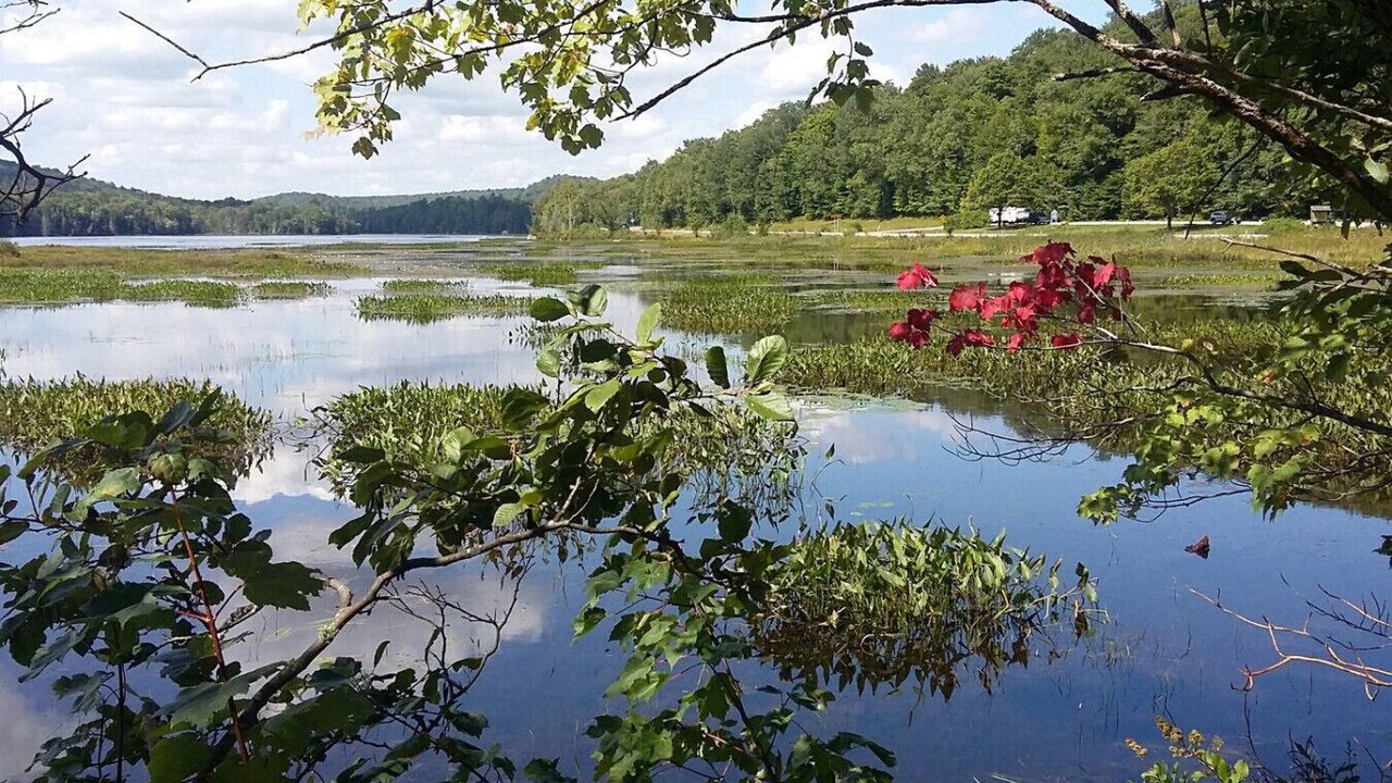 Photo of Others in Blue Mountain Lake
