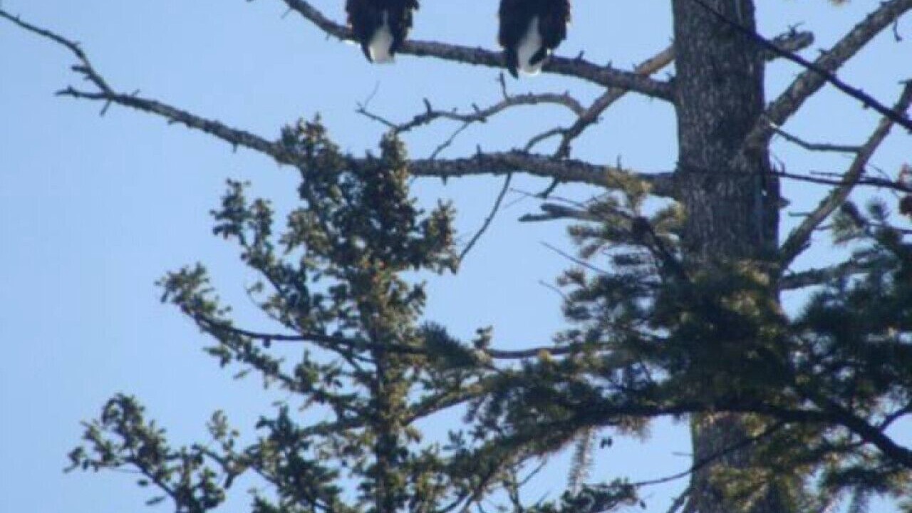 Photo of Others in Blue Mountain Lake