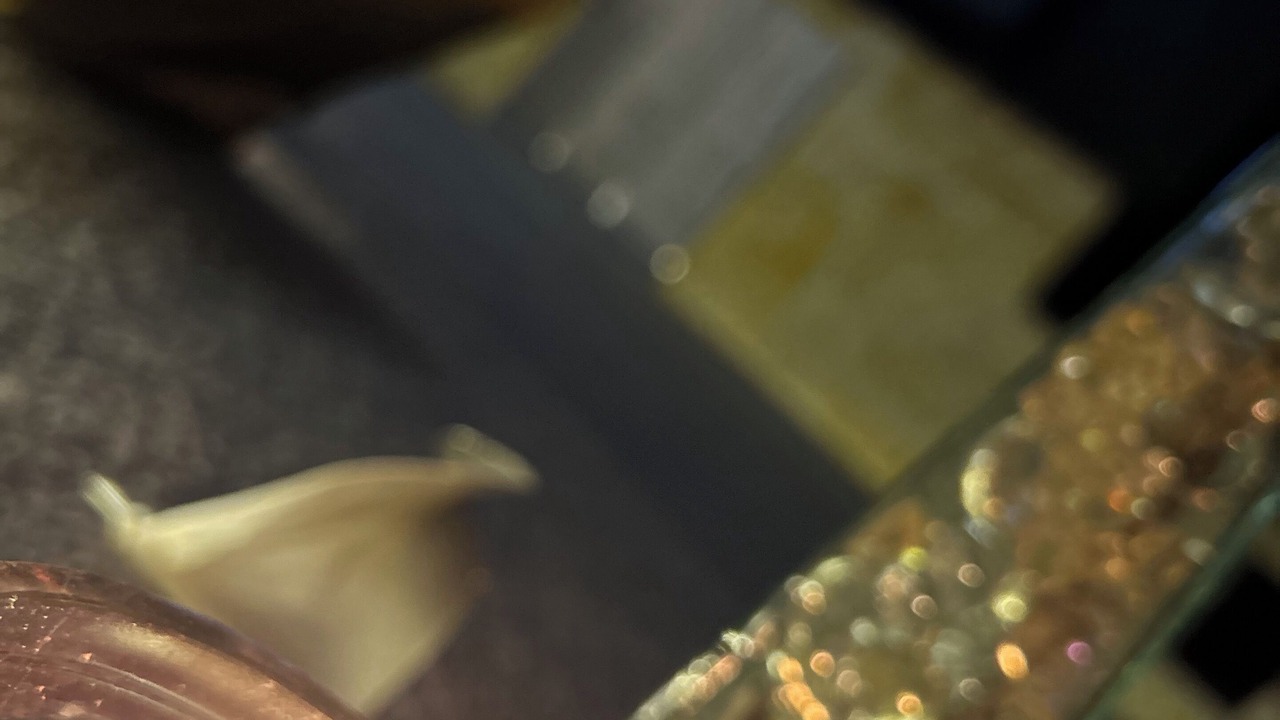 Photo of Others in Hartlepool