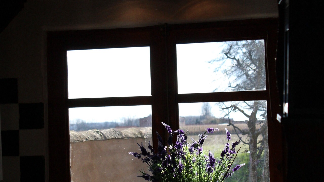 Photo of Kitchen in Saldana
