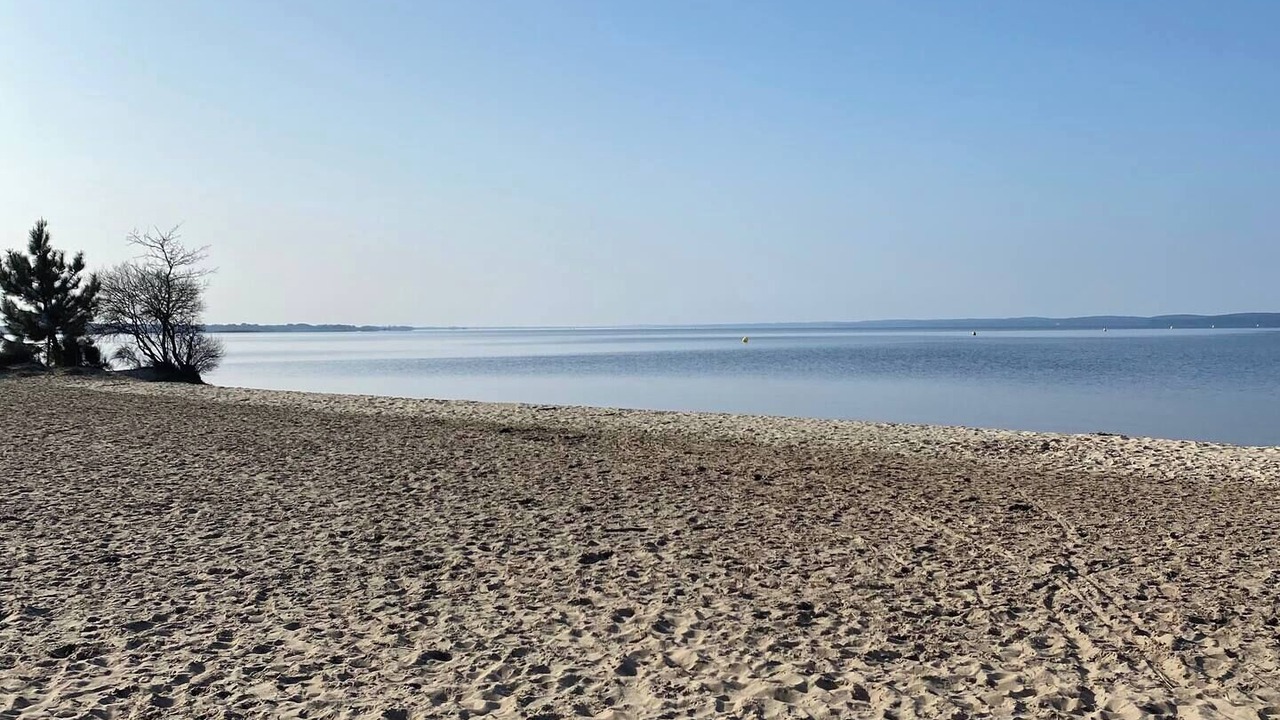 Photo of Others in Pauillac