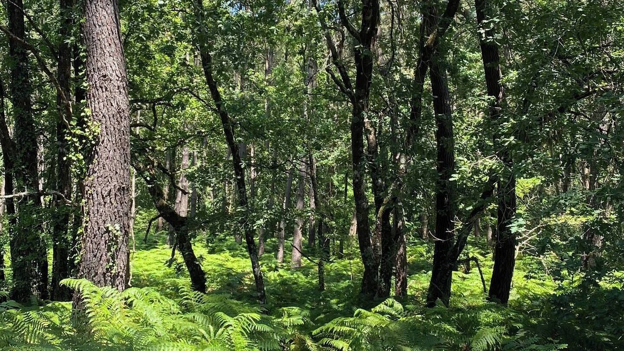 Photo of Others in Pauillac