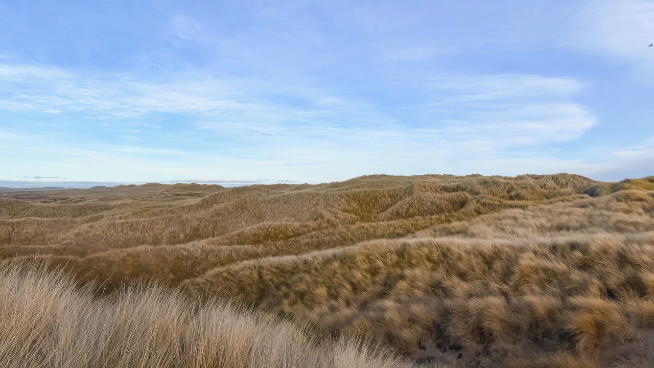 Photo of Others in Ellon