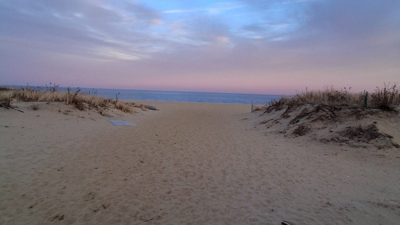 Photo of Others in Bradley Beach