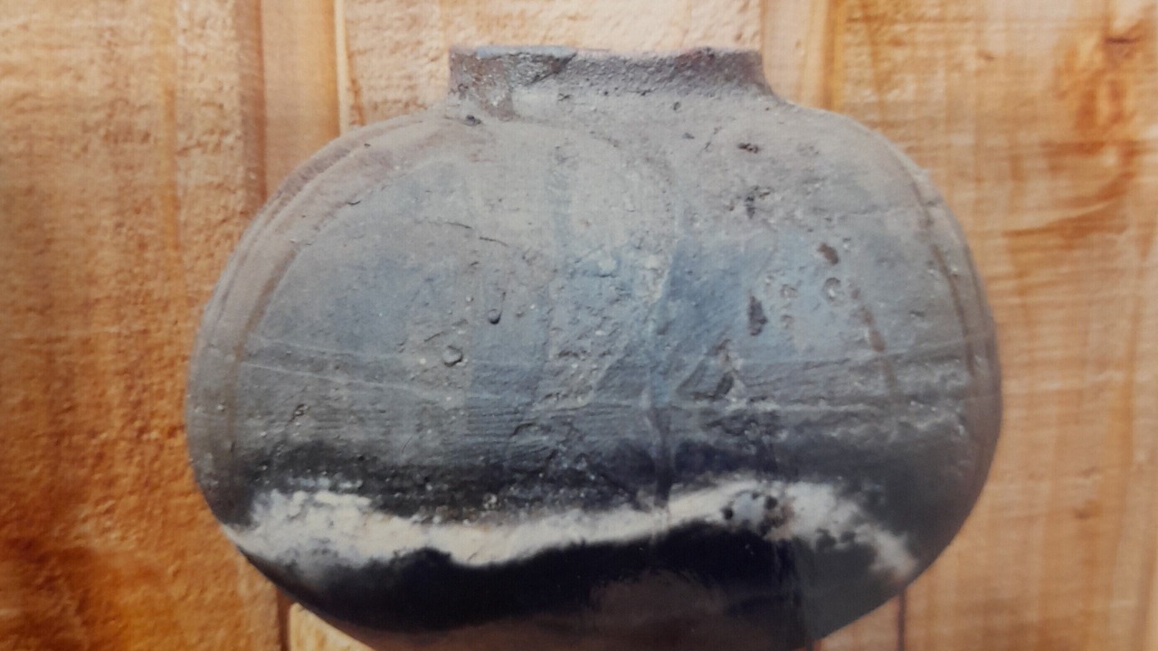 Photo of Others in Gisborne