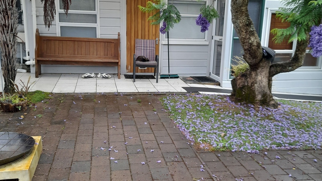 Photo of Outdoor in Gisborne