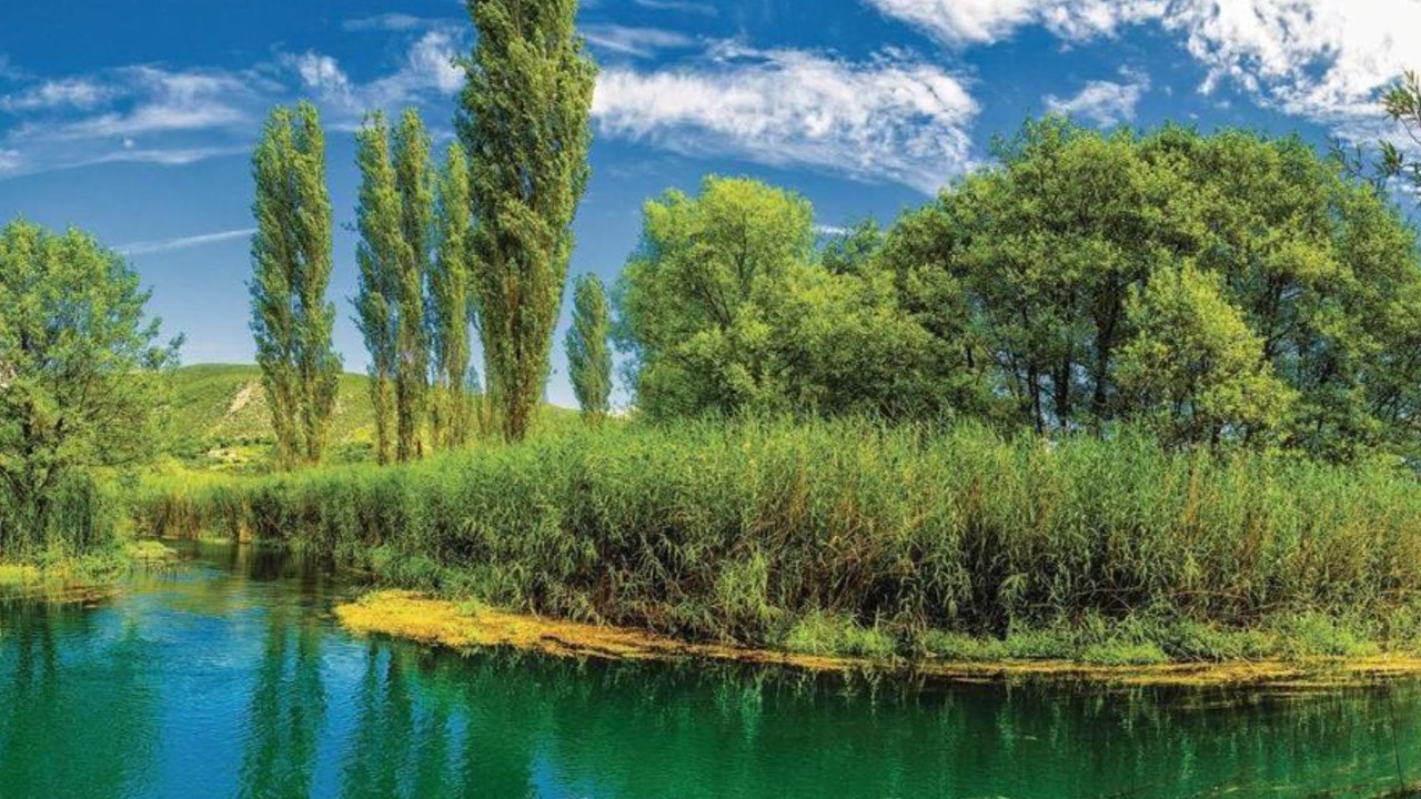 Photo of Outdoor in Ploce