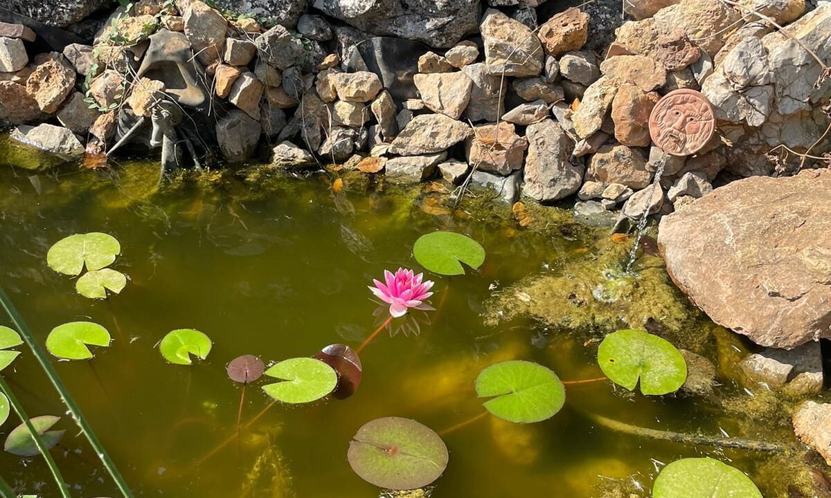 Photo of Outdoor in Saint-Maximin-la-Sainte-Baume