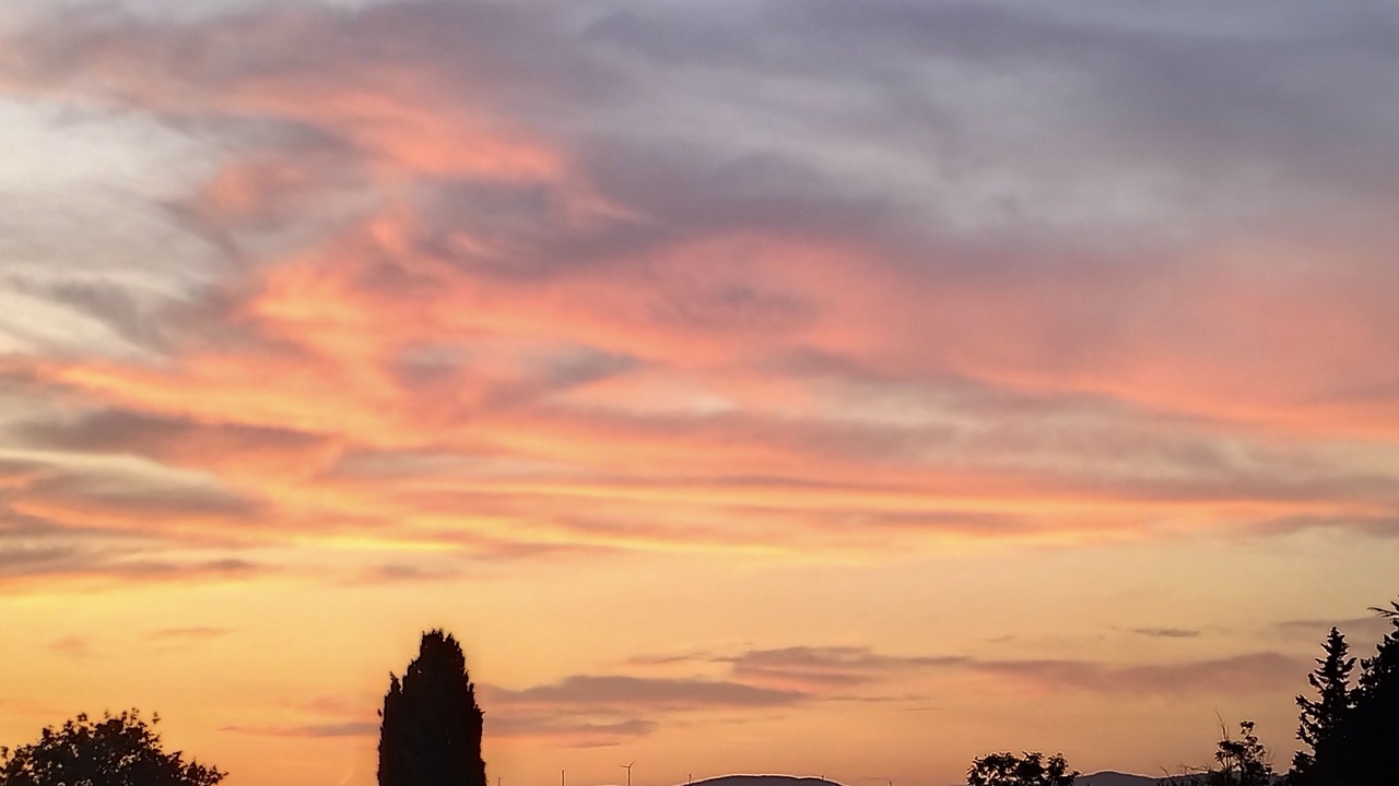 Photo of Others in Saint-Maximin-la-Sainte-Baume