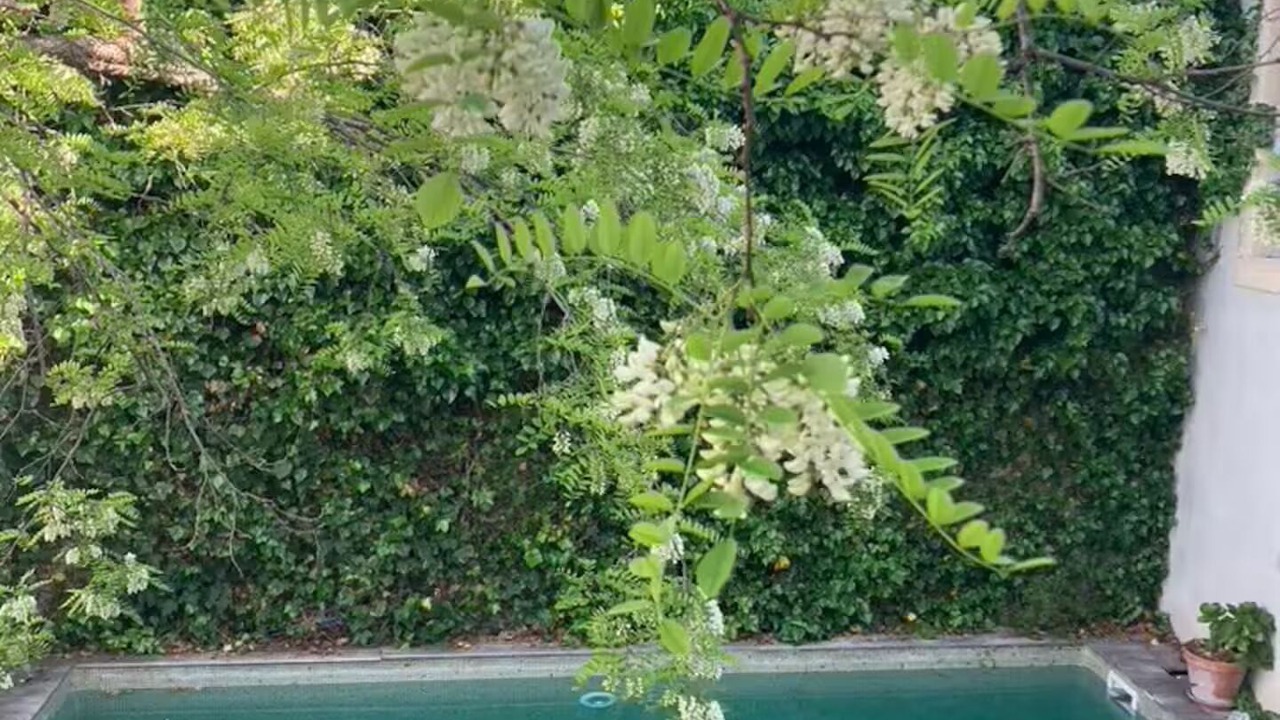 Photo of Outdoor in Poussan