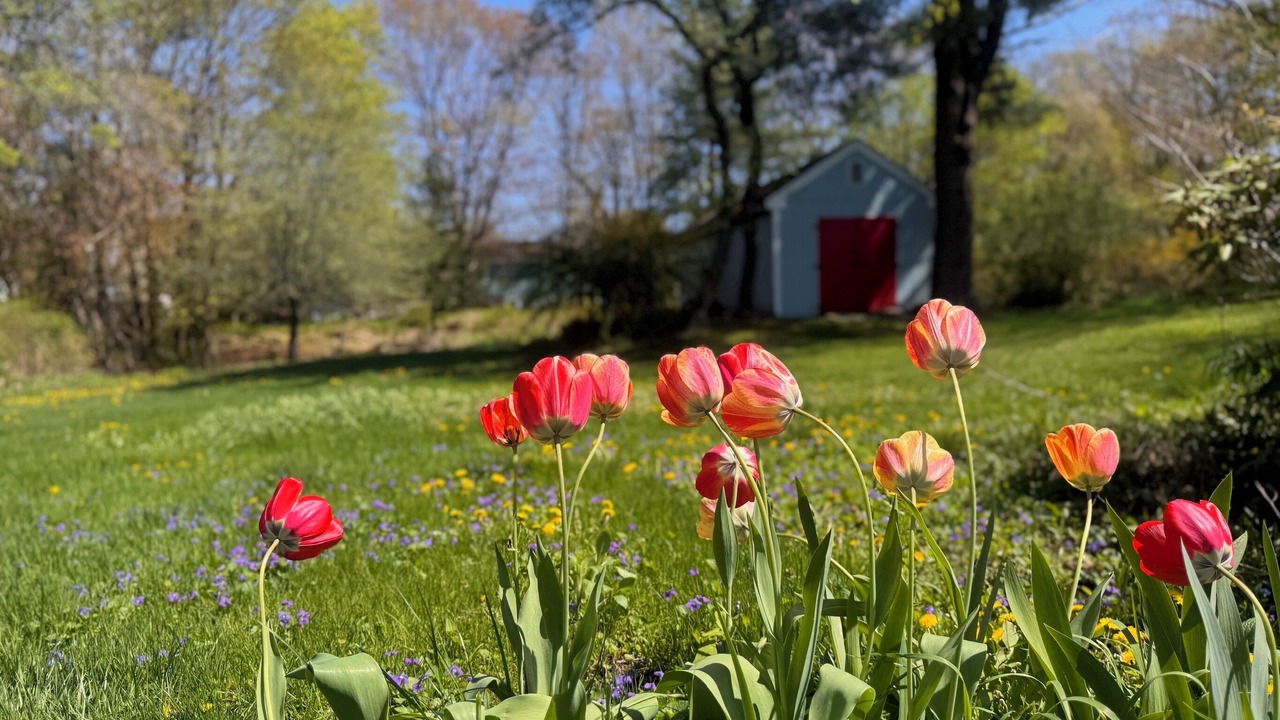Photo of Outdoor in Willard