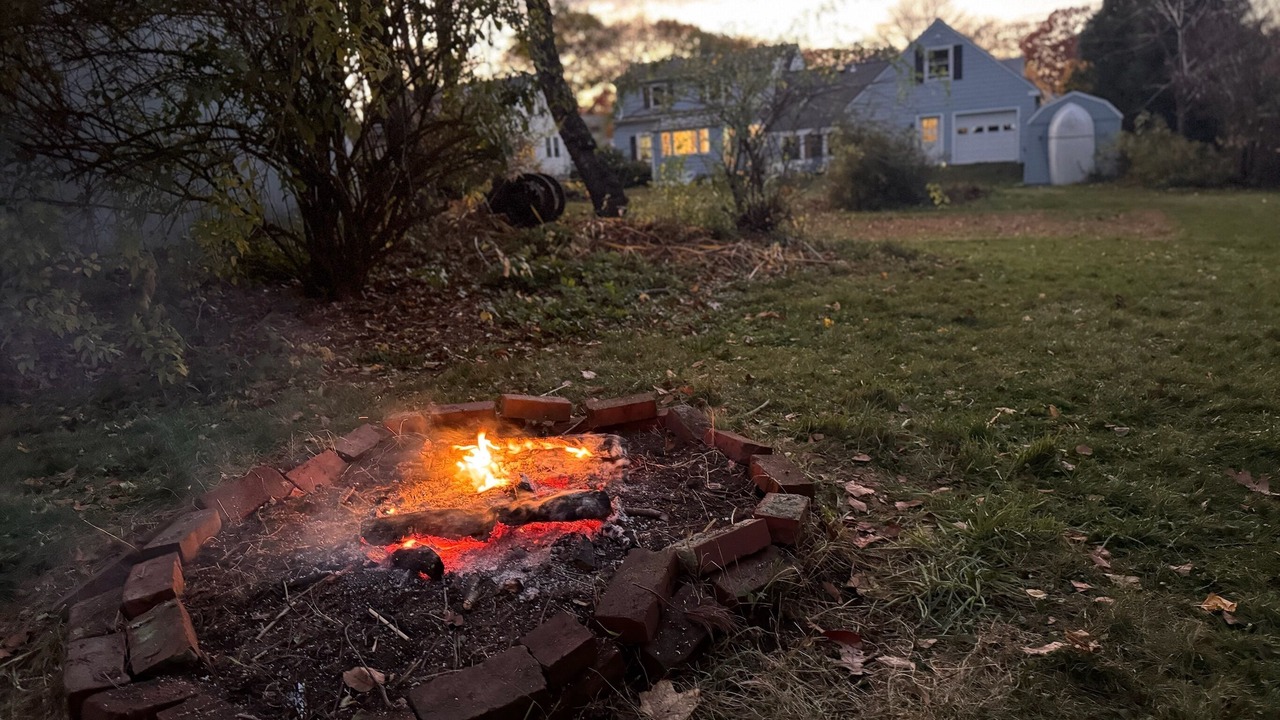 Photo of Outdoor in Willard