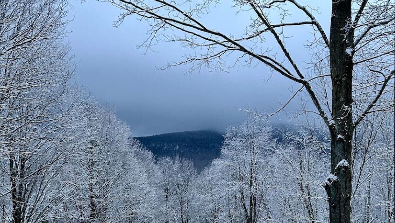 Photo of Others in Denver