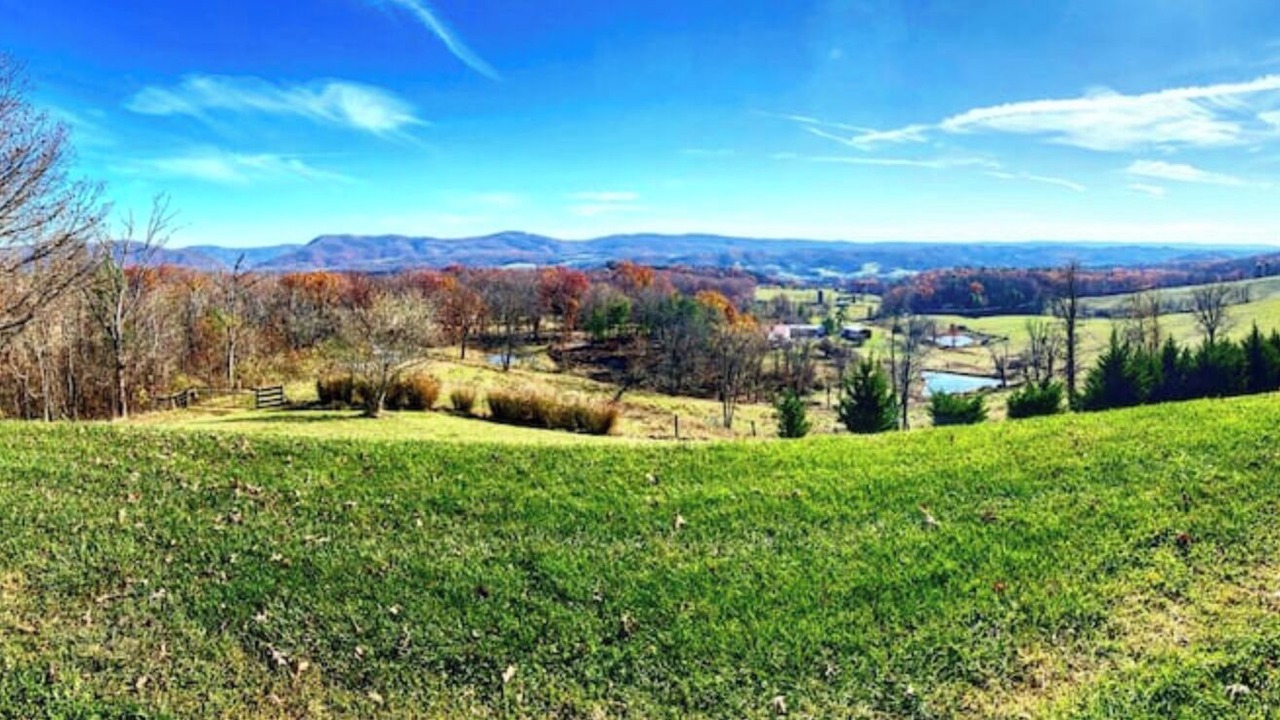 Photo of Others in Lewisburg