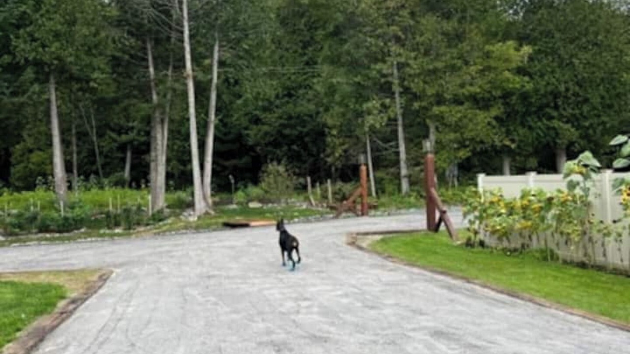 Photo of Outdoor in Brownington