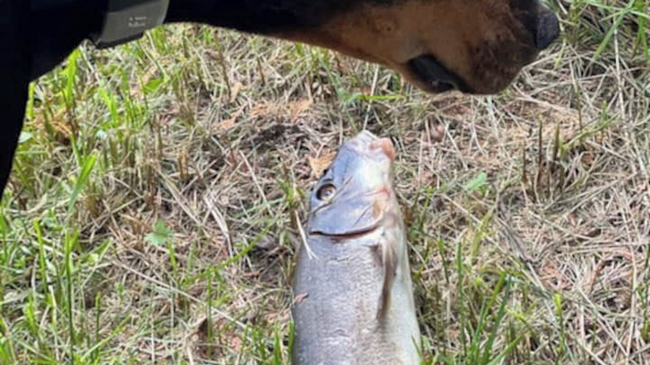 Photo of Others in Brownington