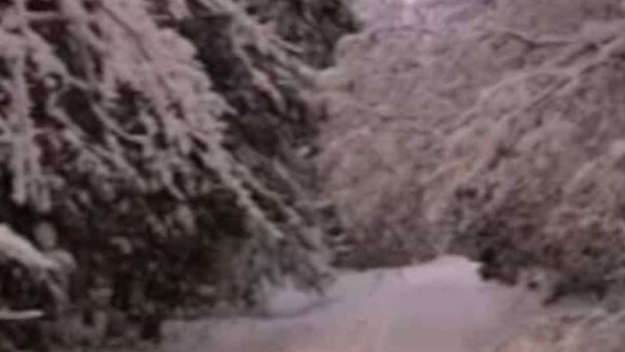 Photo of Others in Brownington