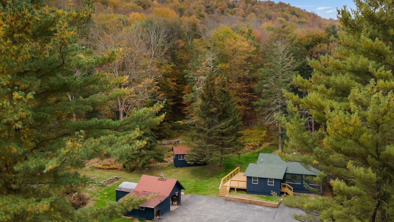 Photo of Outdoor in Oliverea