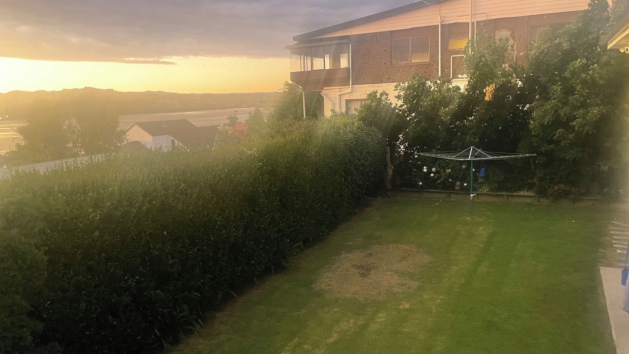 Photo of Outdoor in Tauranga South