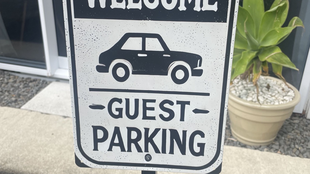 Photo of Outdoor in Tauranga South