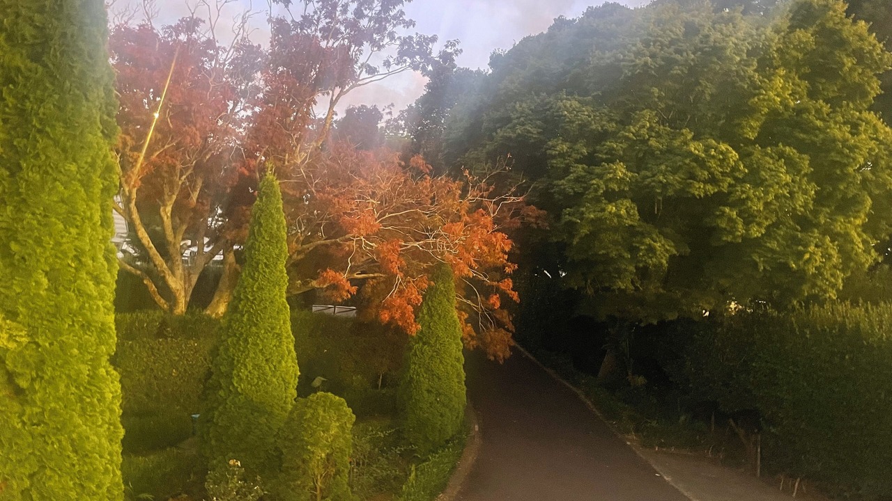 Photo of Others in Tauranga South