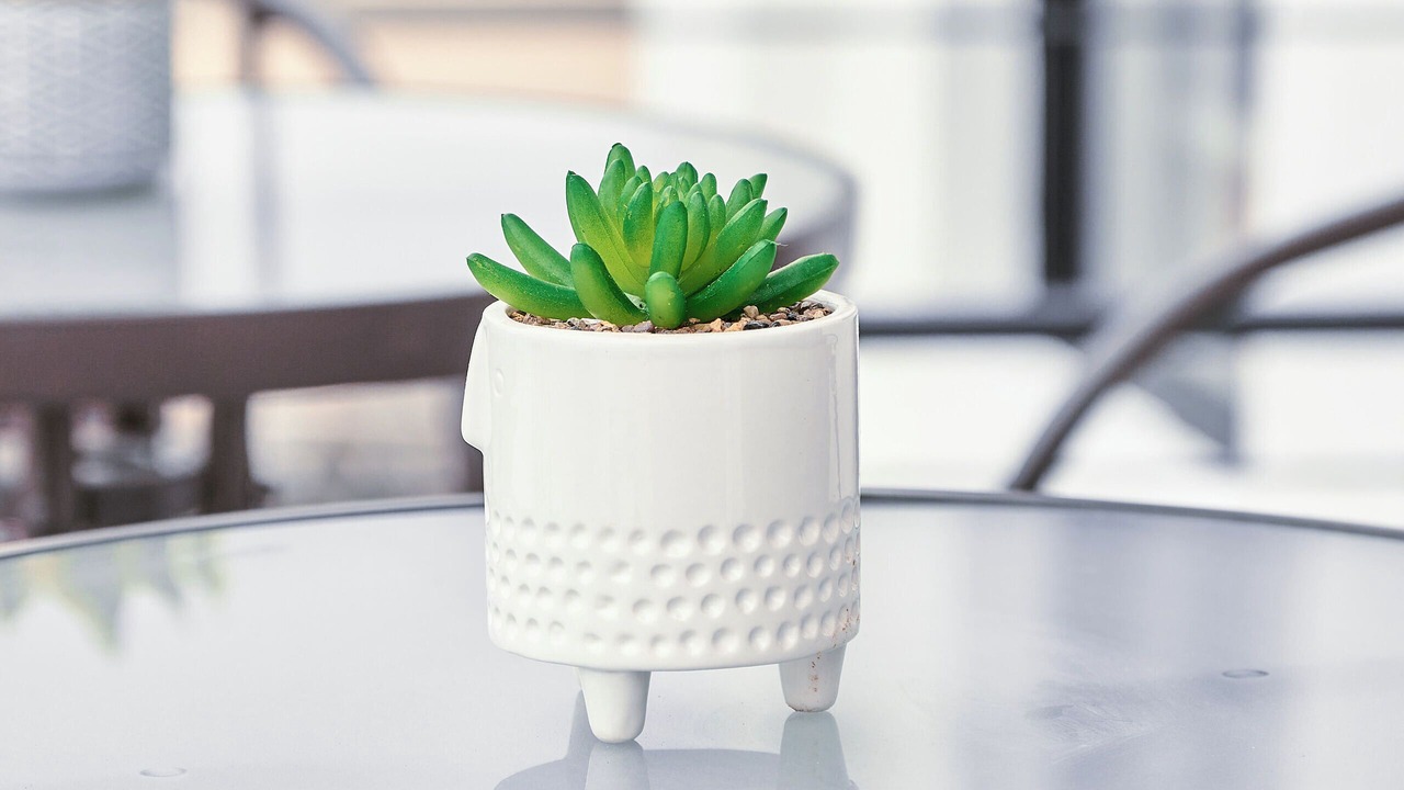 Photo of Others in Zona Centro