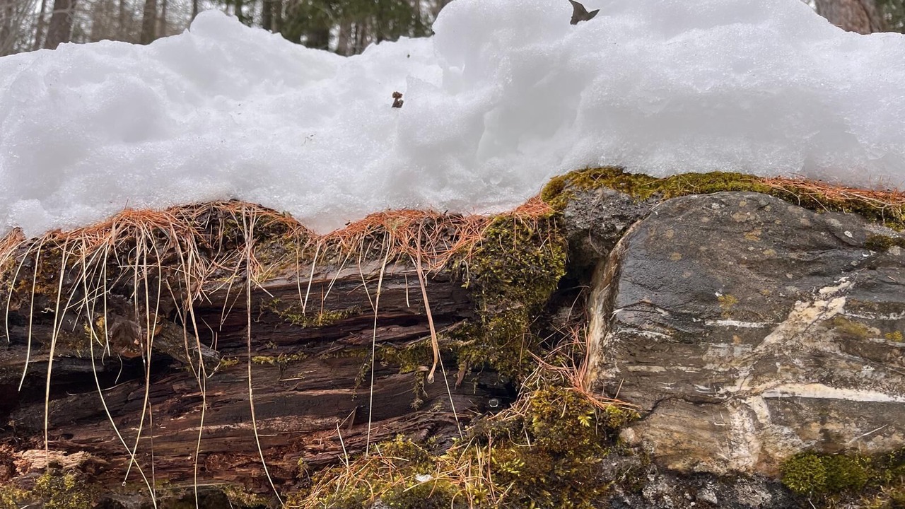 Photo of Others in Les Orres