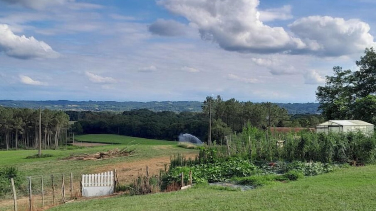 Photo of Outdoor in Habas