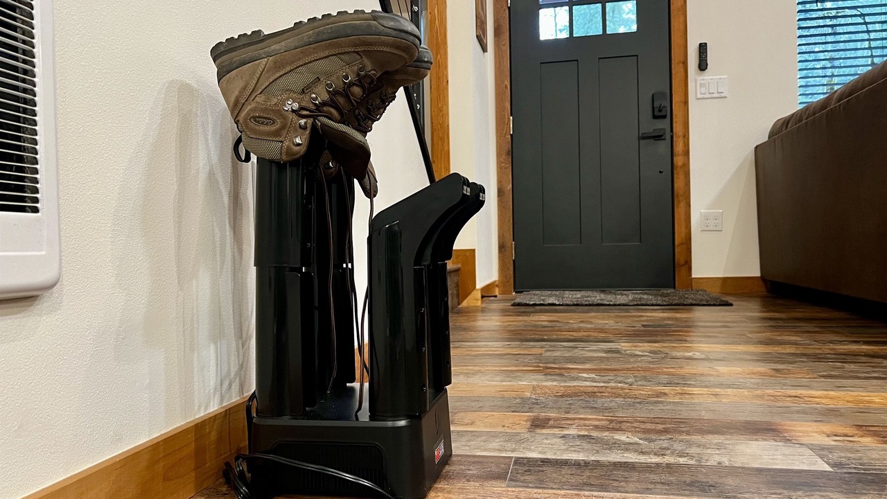 Photo of Others in Ashford